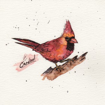 Cardinal