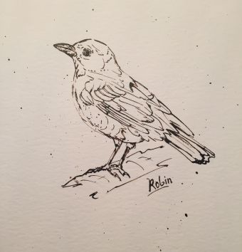 Robin_pen