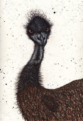 emu_upload